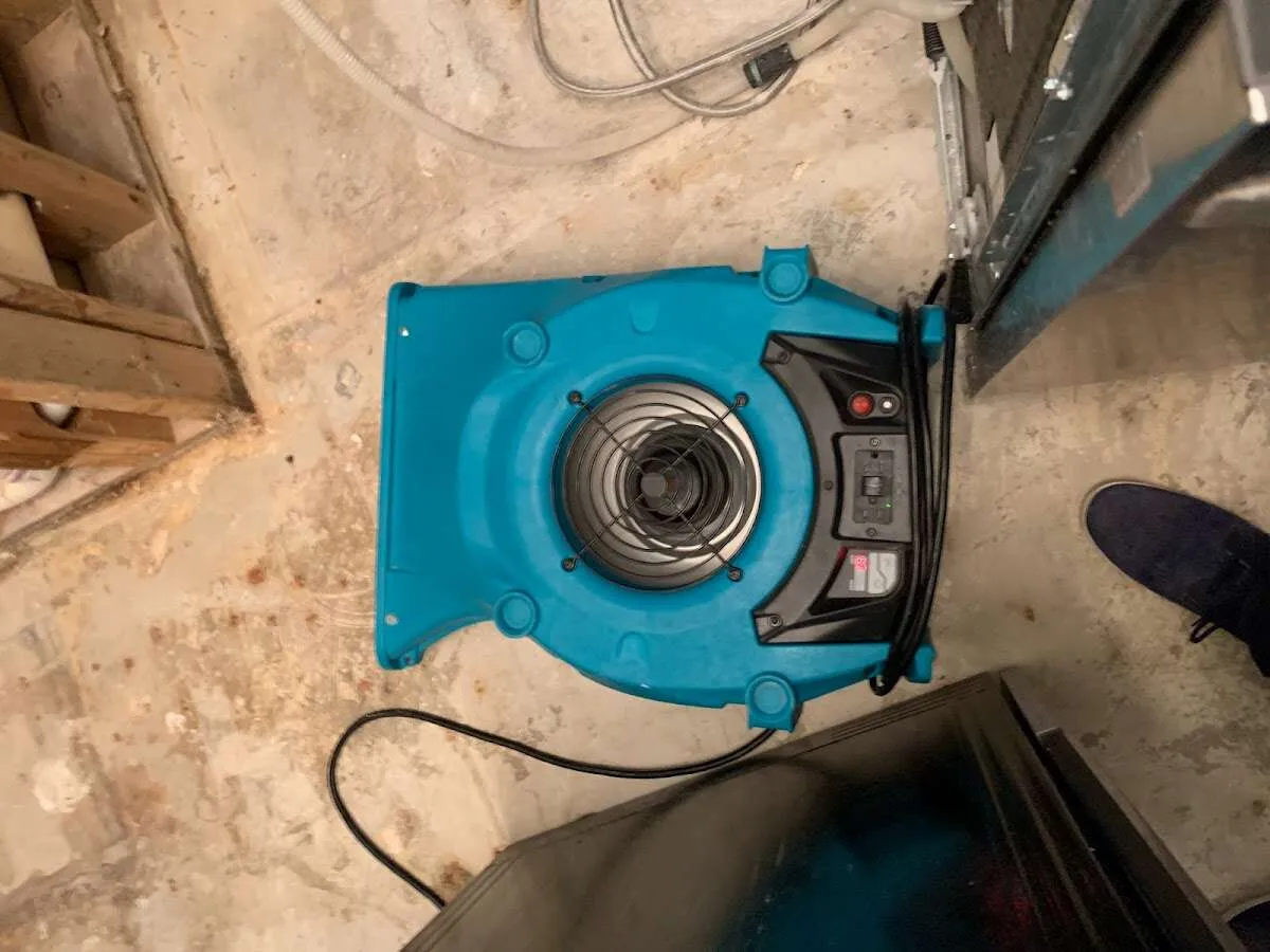 Air mover drying equipment for Mold Remediation & Removal in Madison Heights